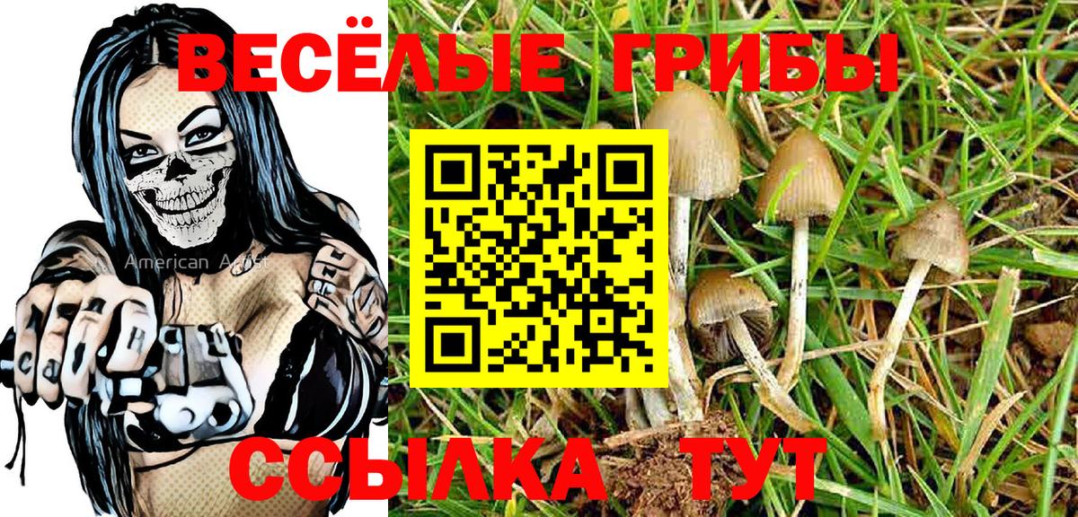 Псилоцибиновые грибы ЛСД Вязники