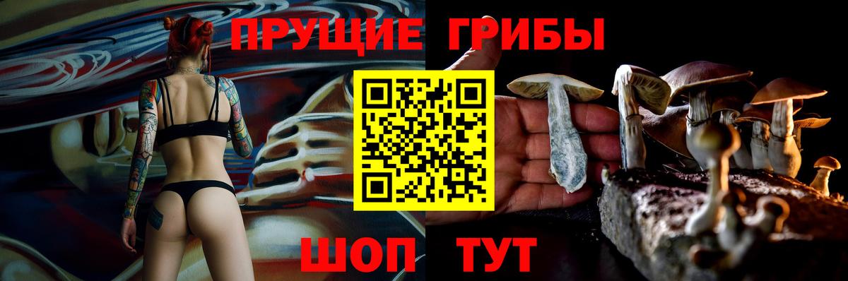 Вязники  Псилоцибиновые грибы Cubensis  Вход с VPN 